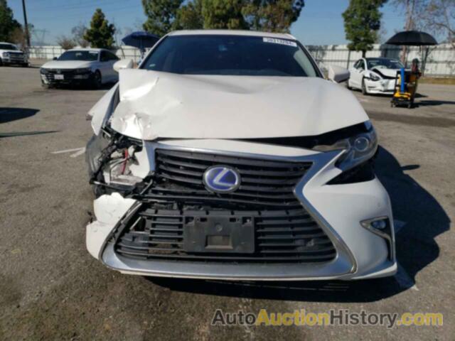 LEXUS ES300 300H, JTHBW1GGXG2119655