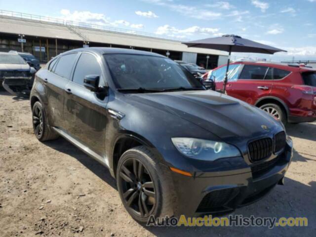 BMW X6 M, 5YMGZ0C52ALK13096