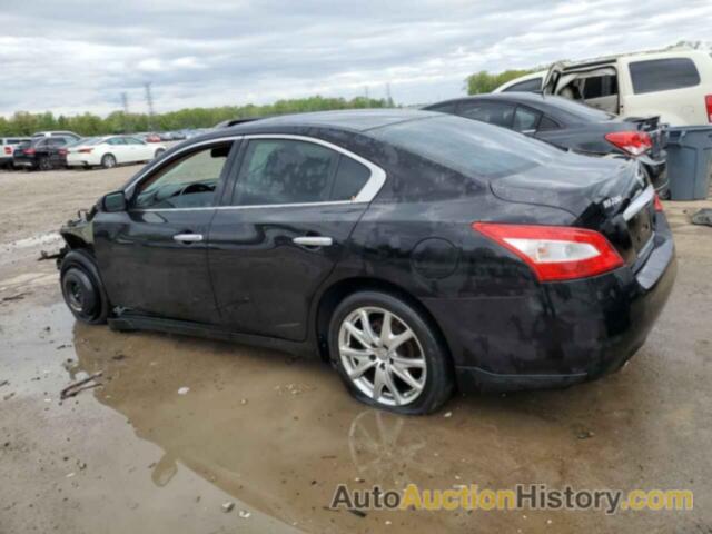 NISSAN MAXIMA S, 1N4AA5AP2BC832828