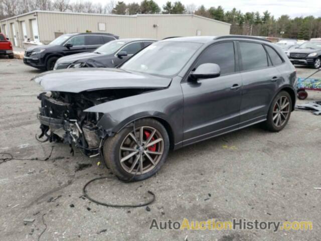 AUDI SQ5 PREMIUM PLUS, WA1CCAFP5GA085947