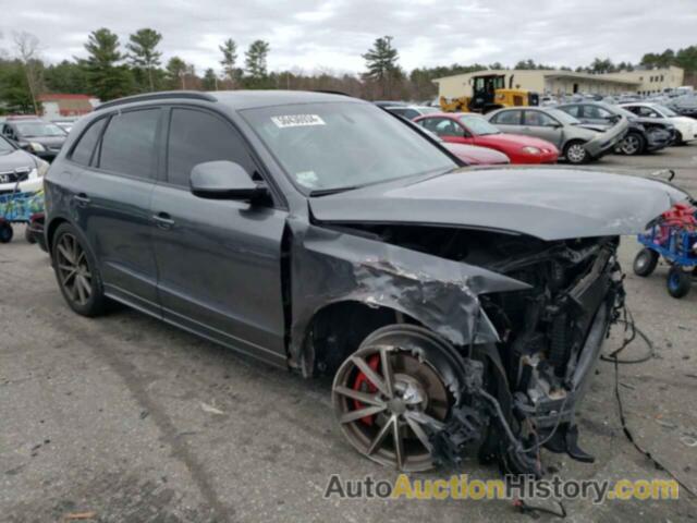 AUDI SQ5 PREMIUM PLUS, WA1CCAFP5GA085947