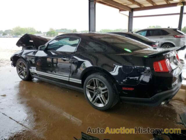 FORD MUSTANG SHELBY GT500, 1ZVBP8JS5B5106787