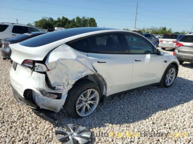 TESLA MODEL Y, 5YJYGAED1MF142722