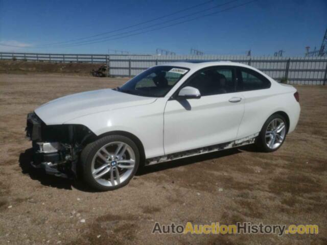 BMW 2 SERIES XI SULEV, WBA1G9C55GV599807