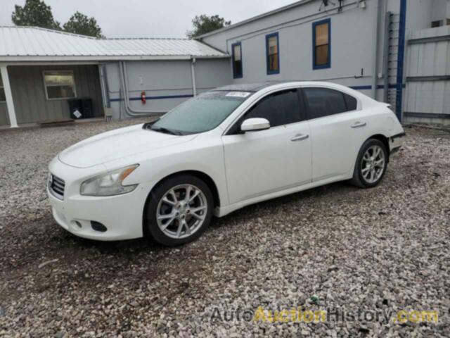 NISSAN MAXIMA S, 1N4AA5AP7DC833573