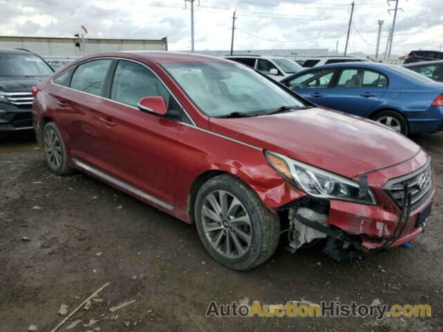 HYUNDAI SONATA SPORT, 5NPE34AF3GH389429