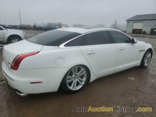 JAGUAR XJ PORTFOLIO, SAJWJ2GD2D8V49493