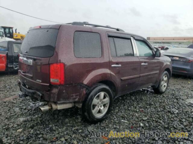 HONDA PILOT EXL, 5FNYF4H59BB027906