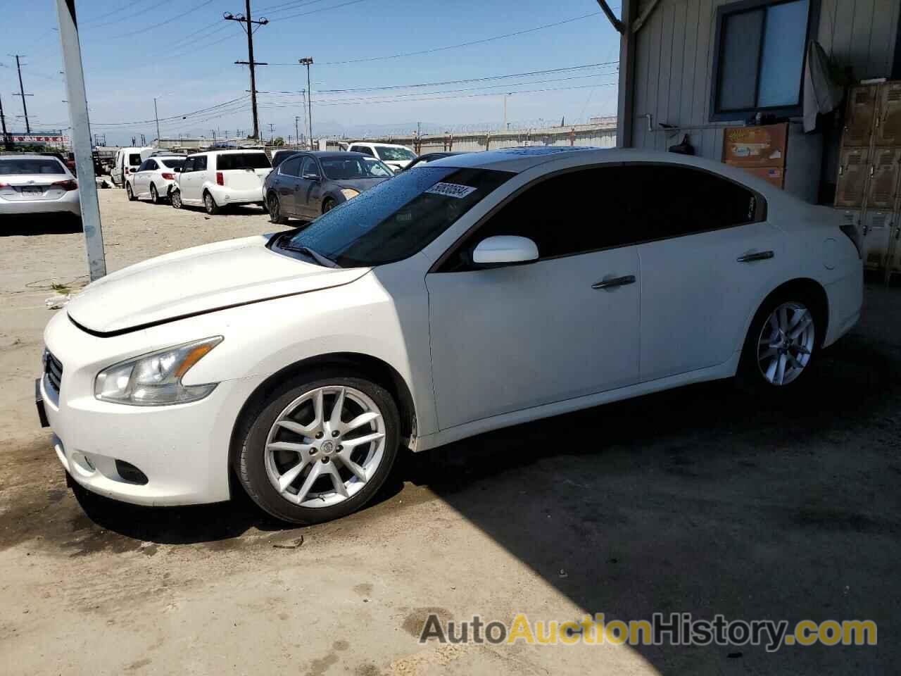 NISSAN MAXIMA S, 1N4AA5AP1EC462699