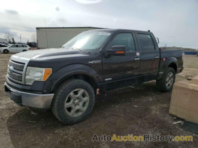 FORD F-150 SUPERCREW, 1FTPW14V49FA95858