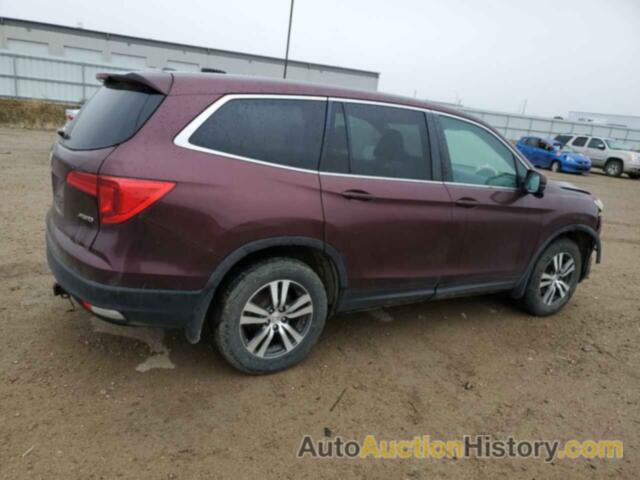 HONDA PILOT EX, 5FNYF6H38GB022617