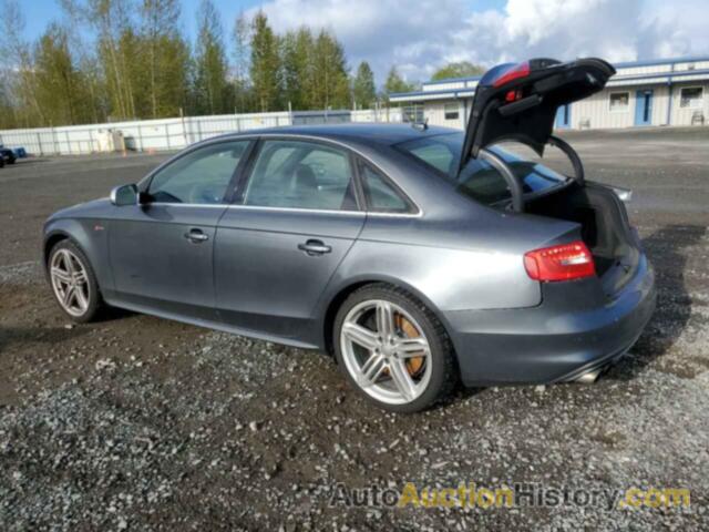 AUDI S4/RS4 PREMIUM PLUS, WAUBGAFL3FA013191