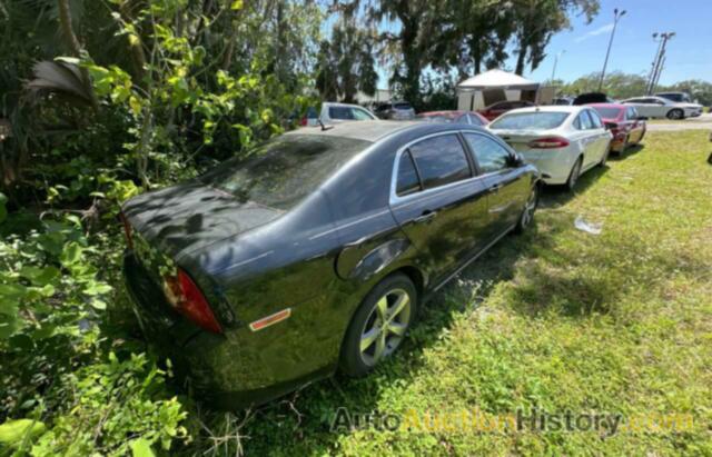 CHEVROLET MALIBU 1LT, 1G1ZC5E16BF121816