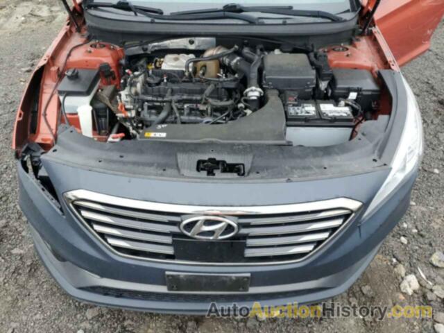 HYUNDAI SONATA SPORT, 5NPE34ABXFH111817