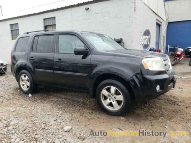 HONDA PILOT EXL, 5FNYF4H53BB010857