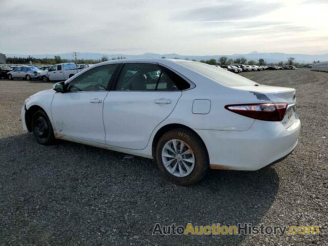TOYOTA CAMRY LE, 4T4BF1FK1FR481434