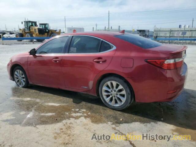 LEXUS ES300 300H, JTHBW1GG9D2027819