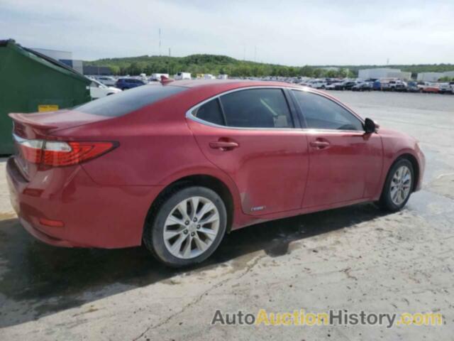 LEXUS ES300 300H, JTHBW1GG9D2027819