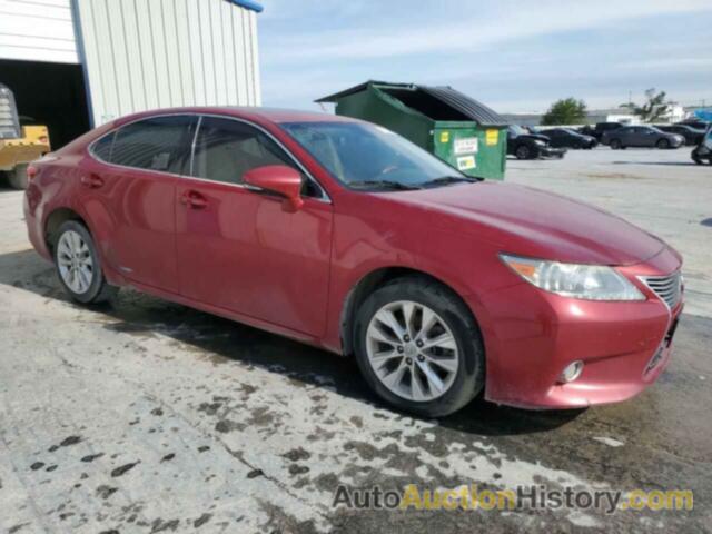 LEXUS ES300 300H, JTHBW1GG9D2027819