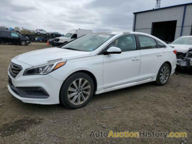 HYUNDAI SONATA SPORT, 5NPE34AF8GH261610