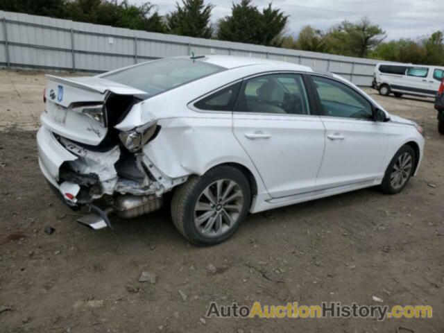 HYUNDAI SONATA SPORT, 5NPE34AF8GH261610