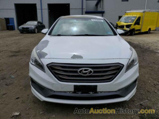 HYUNDAI SONATA SPORT, 5NPE34AF8GH261610