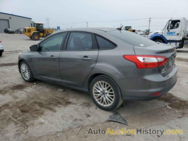 FORD FOCUS SEL, 1FAHP3H20CL321549