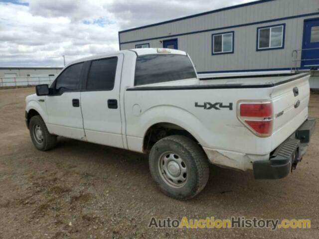 FORD F-150 SUPERCREW, 1FTFW1EF0EKD94171