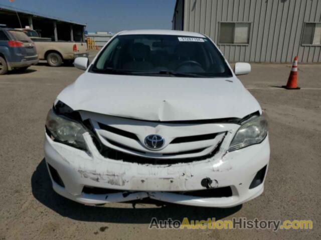 TOYOTA COROLLA BASE, 5YFBU4EE5DP109798