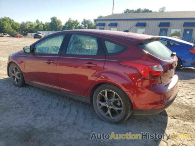 FORD FOCUS SE, 1FADP3K29DL383542