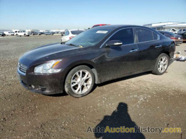 NISSAN MAXIMA S, 1N4AA5AP2CC814864