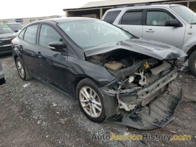 FORD FOCUS SE, 1FADP3F2XFL204468