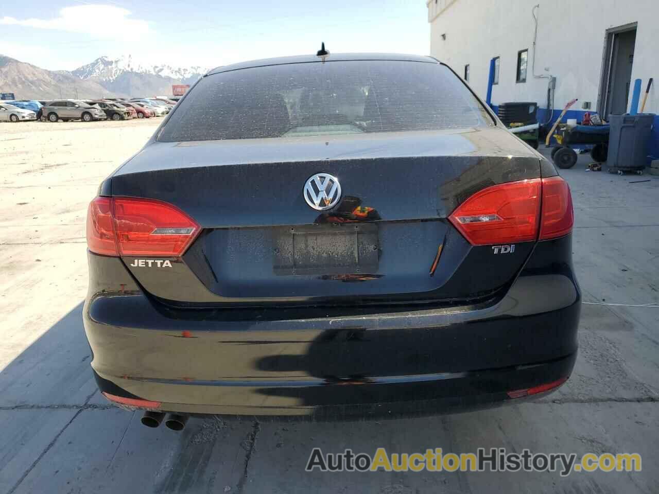 VOLKSWAGEN JETTA TDI, 3VWLL7AJ8EM443888