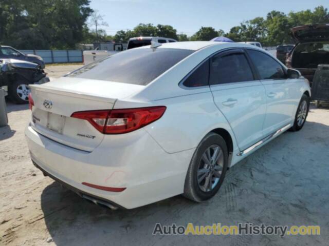 HYUNDAI SONATA SPORT, 5NPE34AB7HH481383