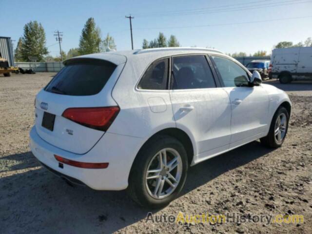 AUDI Q5 PREMIUM PLUS, WA1DGAFPXDA068324