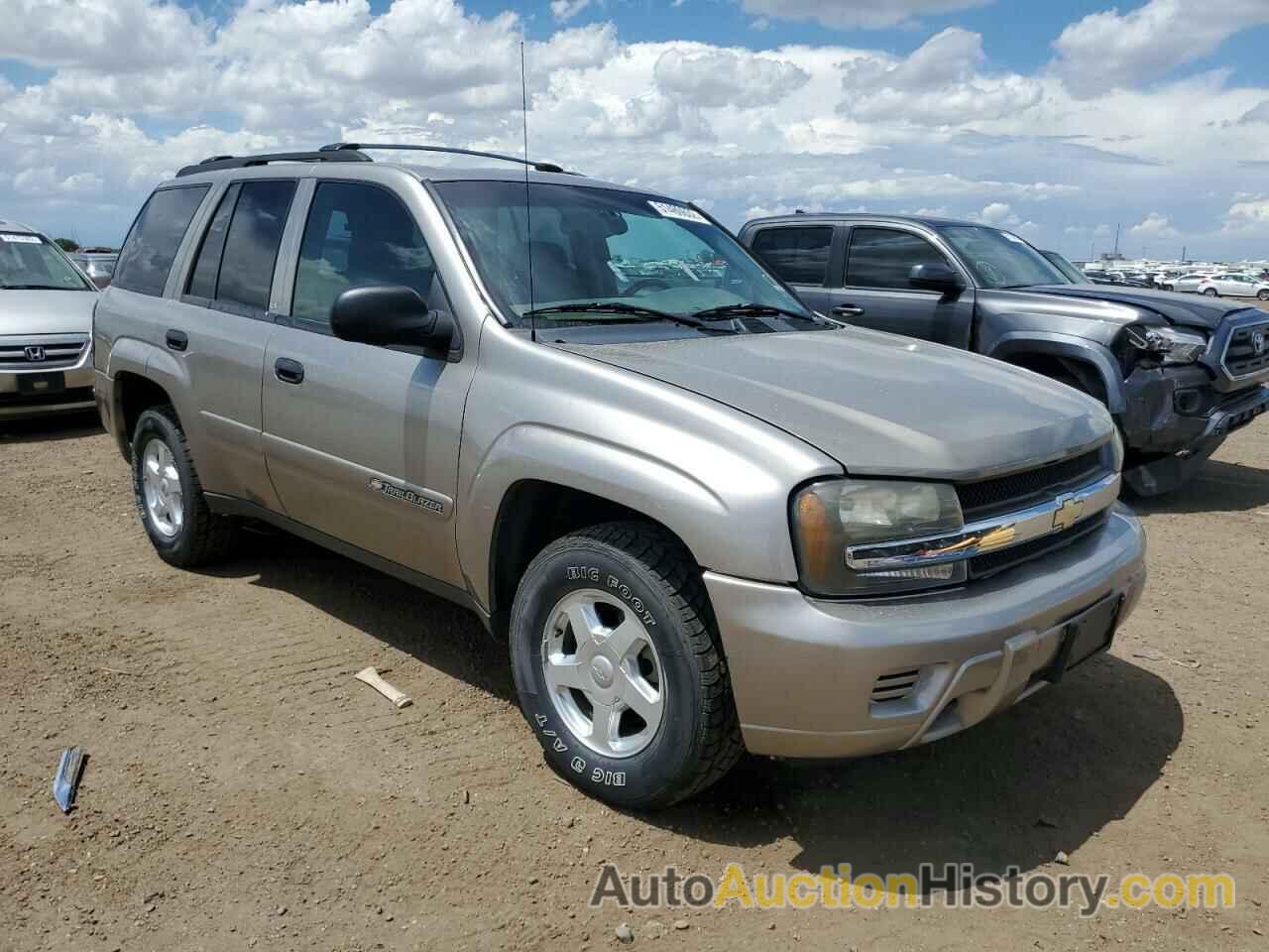 2002 CHEVROLET TRAILBLAZE, 1GNDT13S922364296