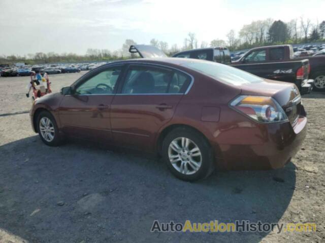 NISSAN ALTIMA BASE, 1N4AL2AP0BN500299