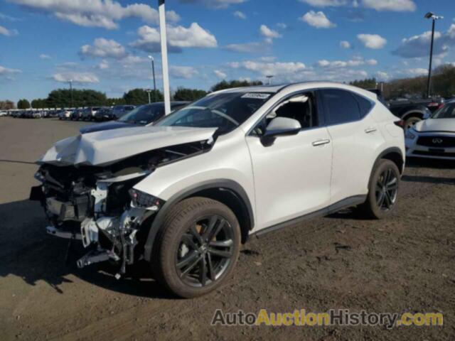 LEXUS NX 450H 450H, JTJHKCFZ9P2019601