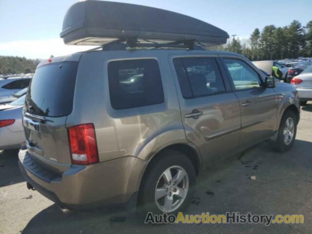 HONDA PILOT EXL, 5FNYF4H52AB001906