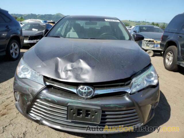 TOYOTA CAMRY LE, 4T4BF1FK7GR524028