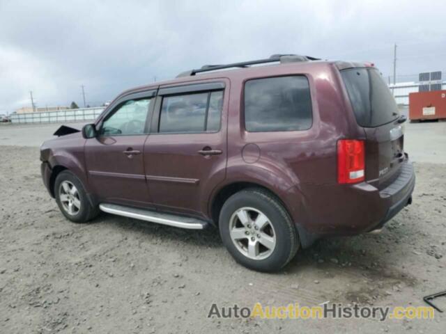 HONDA PILOT EXL, 5FNYF4H53BB065339