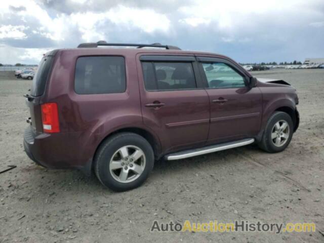 HONDA PILOT EXL, 5FNYF4H53BB065339