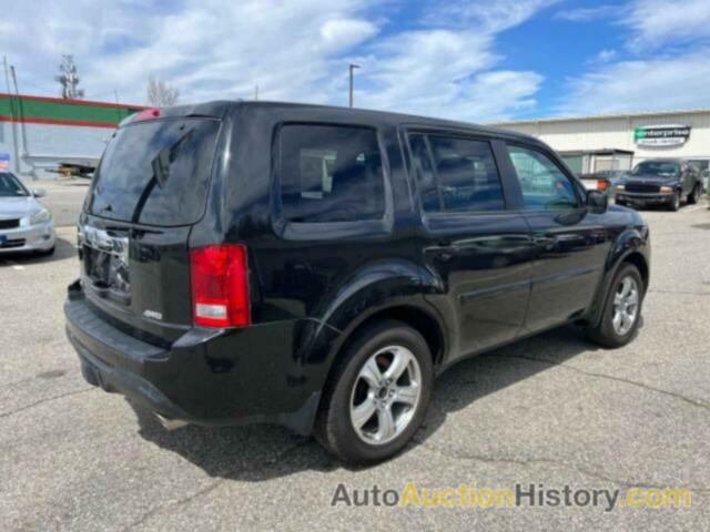 HONDA PILOT EXLN, 5FNYF4H72DB005332