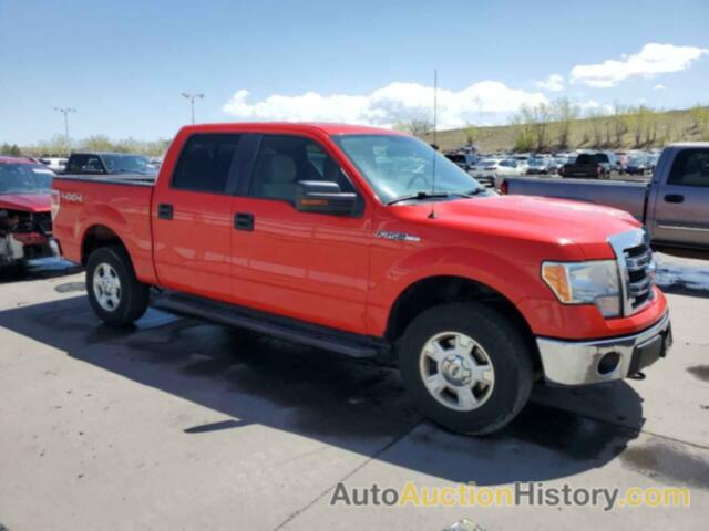 FORD F-150 SUPERCREW, 1FTFW1EF2DFC66831