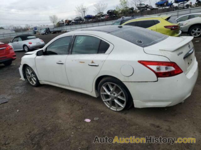 NISSAN MAXIMA S, 1N4AA5AP7AC873552