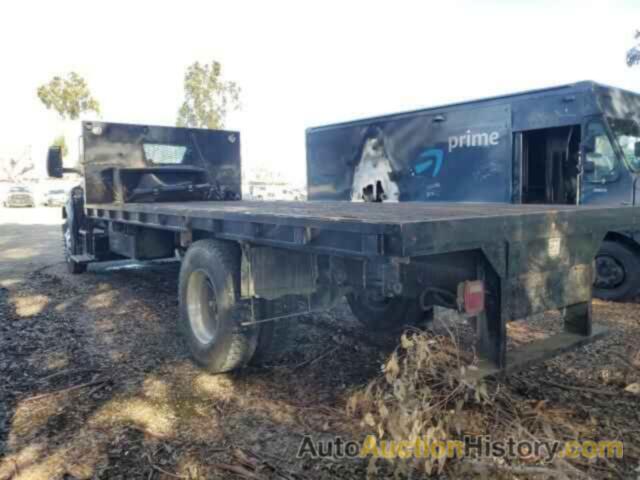 FORD F650 SUPER DUTY, 1FDNF6AY1HDB02404