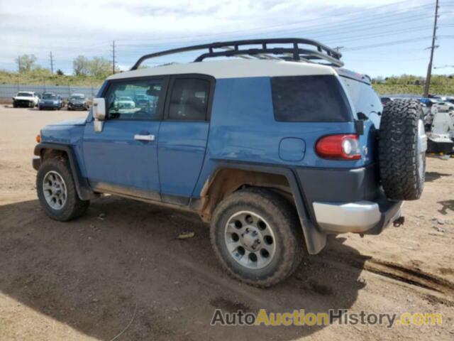 TOYOTA FJ CRUISER, JTEBU4BF1DK159699