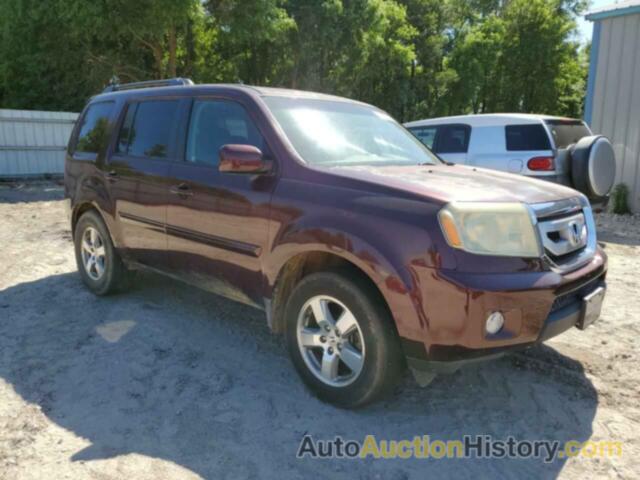 HONDA PILOT EX, 5FNYF3H43BB005353