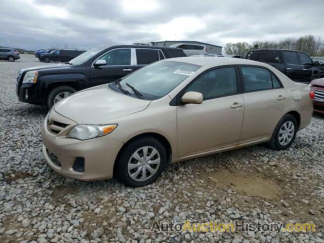 TOYOTA COROLLA BASE, 2T1BU4EE0BC548291