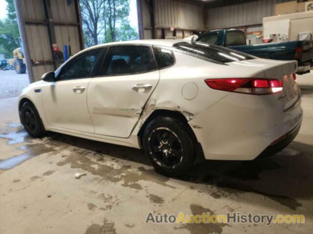 KIA OPTIMA LX, KNAGT4L36J5216178